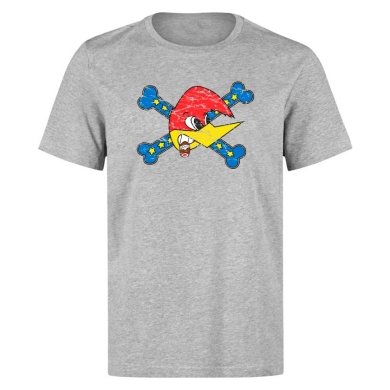 Camiseta gris Vintage