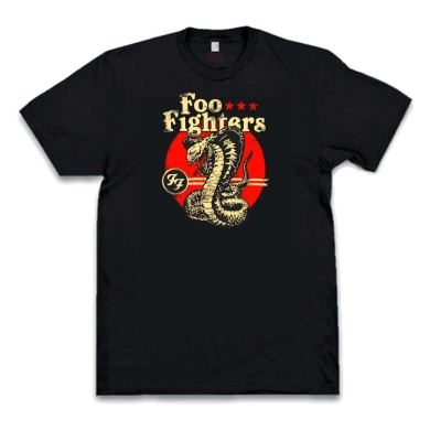 Camiseta Foo Fighters snake
