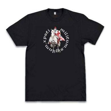 Camiseta Temparios Caballero